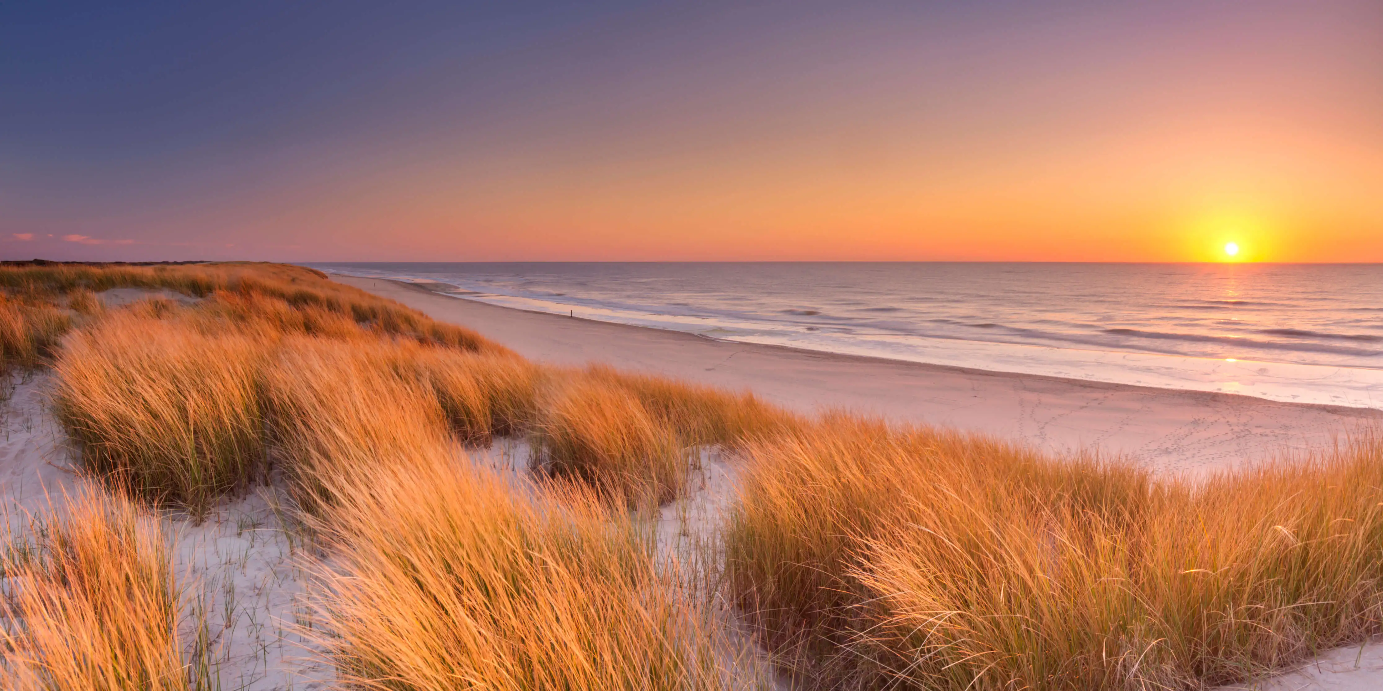 Texel