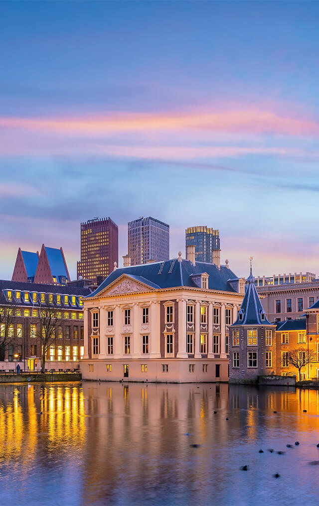 the_hague