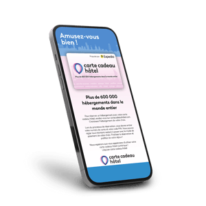 Mockup-mobile FR