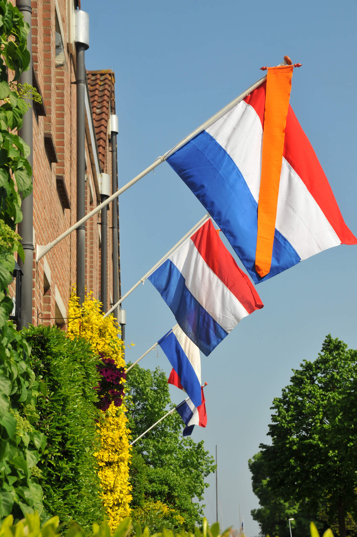 koningsdag