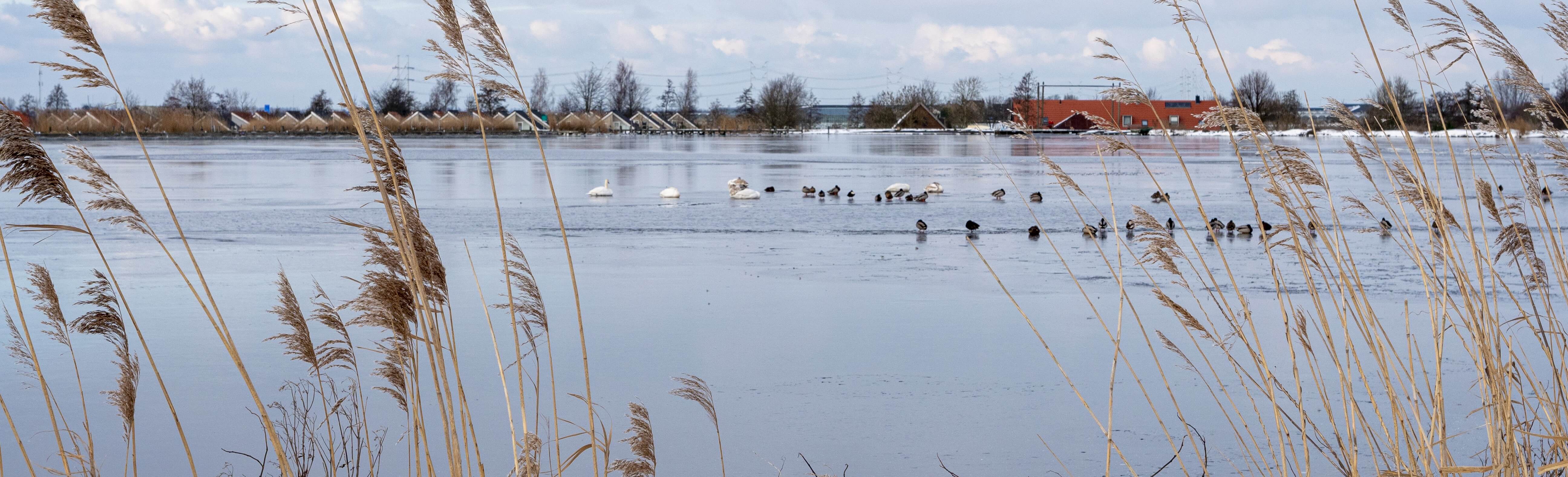 Winter Lauwersmeer