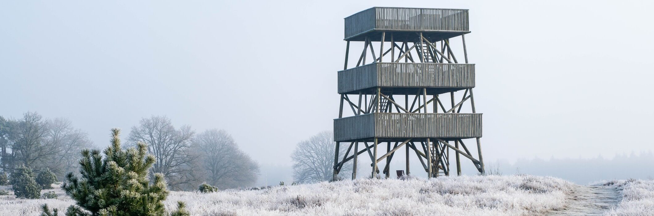 Drents-Friese Wold winter